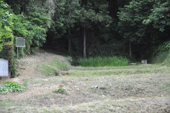 2015年6月 埼玉県東松山市岩殿 足利基氏館跡DSC_1469