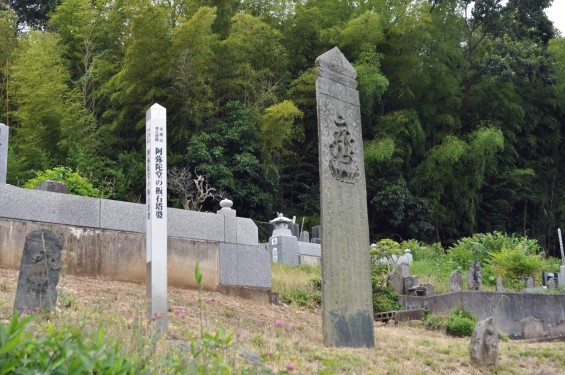 20150608 東松山市岩殿 阿弥陀堂の板石塔婆DSC_1451