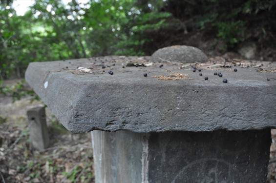 埼玉県東松山市 岩殿観音 正法寺の六面幢 ろくめんどう 六面塔 六面石幢DSC_1387