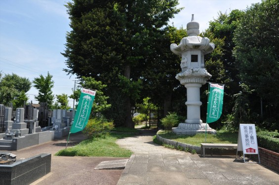 2015年7月 埼玉県久喜市 香最寺の鬼灯 ほおずき ほうずき 久喜聖地公苑DSC_2523