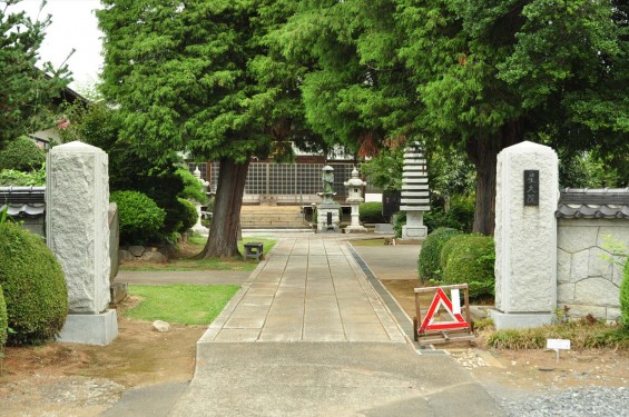 埼玉県蓮田市 星久院の白いさるすべりDSC_3146