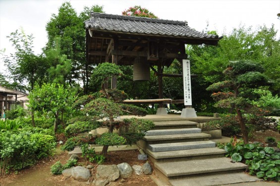 2015年 埼玉県白岡市 大徳寺DSC_3156