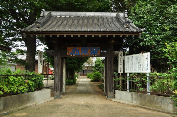 2015年 埼玉県白岡市 大徳寺DSC_3161