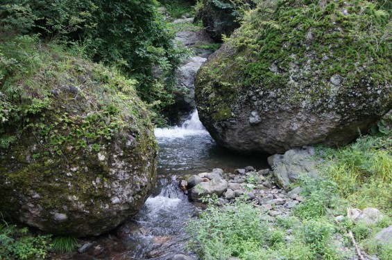 群馬県南牧村（なんもくむら）の自然石、生活の石を見てきました6 沢 蝉の渓谷