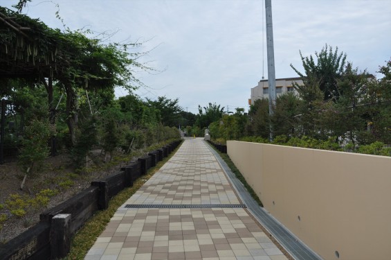 神奈川県横浜市保土ヶ谷区 朝陽の杜墓苑 東の丘DSC_2695