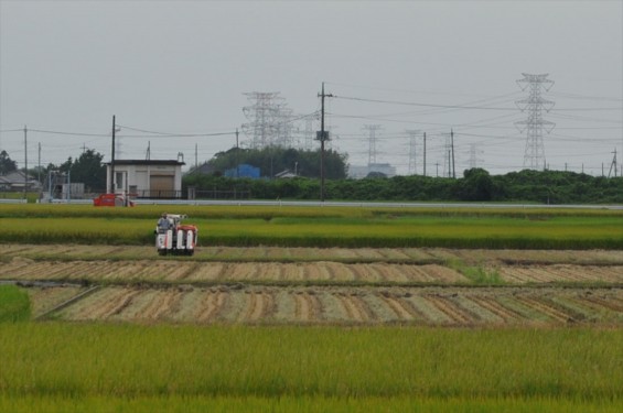 稲刈りはじまったようですね　埼玉県久喜市の香最寺周辺DSC_3664-
