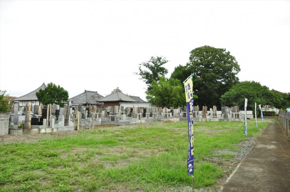 2015年 埼玉県白岡市 大徳寺DSC_3201