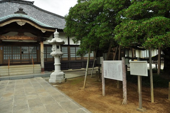 2015年 上尾市 馬蹄寺のモクコク 埼玉県指定天然記念物DSC_3339