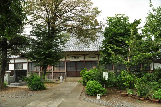 2015年 埼玉県白岡市 大徳寺DSC_3153