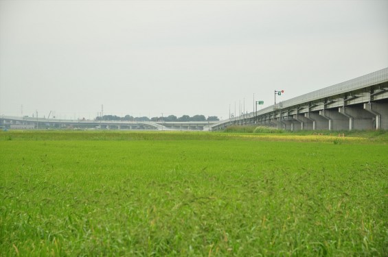 2015年10月　圏央道進捗状況　菖蒲paパーキングエリア 工事中の様子DSC_3840