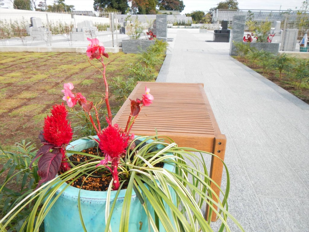 2015年 久喜清久霊園の花壇DSCN7247