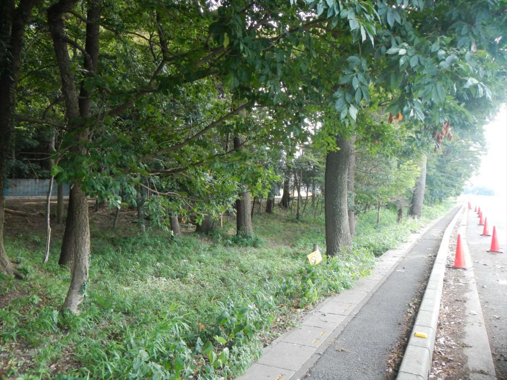 2015年10月　岩槻城の面影（新正寺曲輪の荒川跡）DSCN7117
