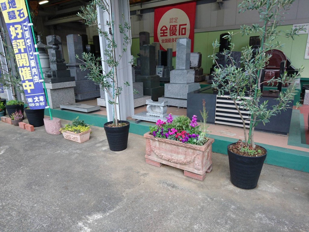 2015年11月 石材店の大塚の本社の花壇DSC_0018