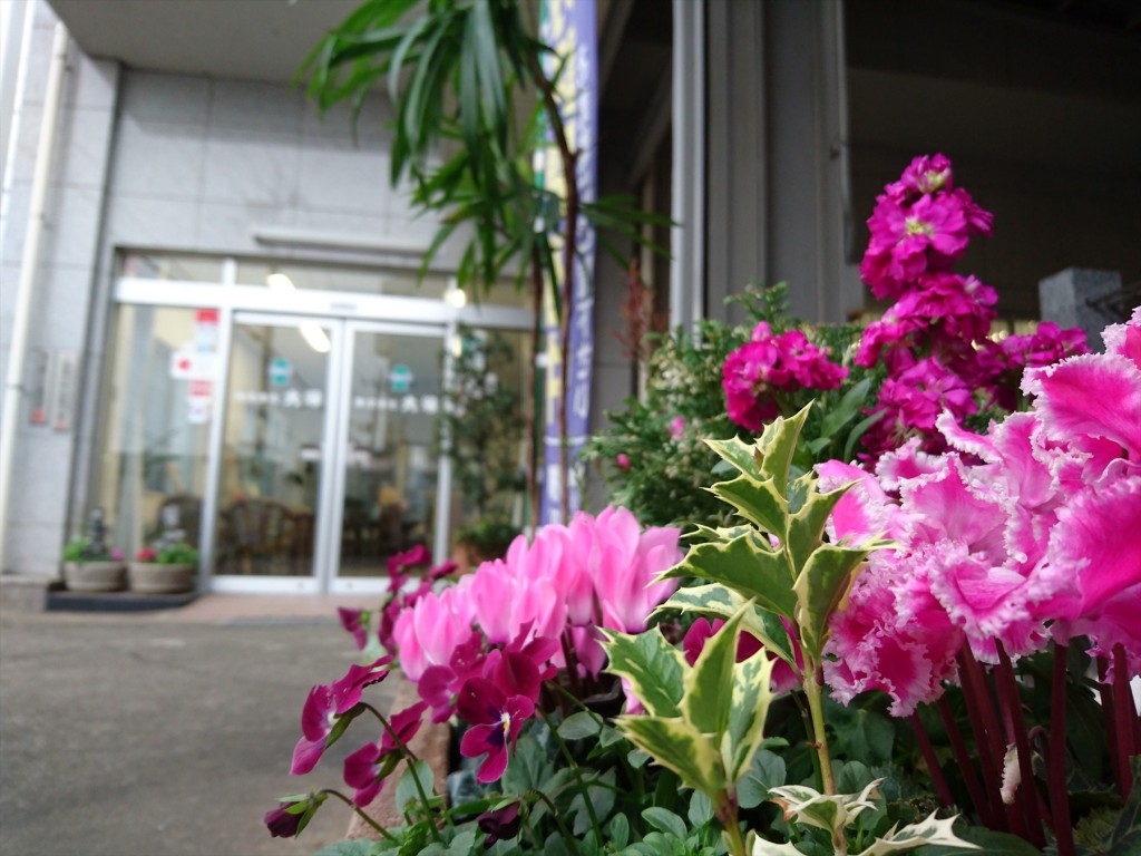 2015年11月 石材店の大塚の本社の花壇DSC_0016