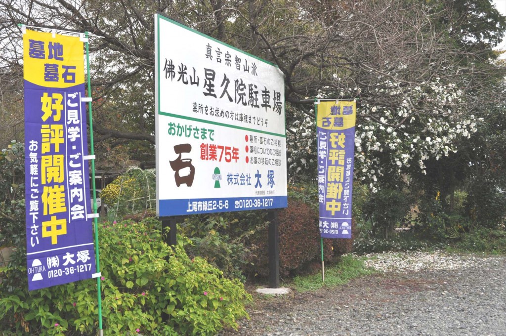 埼玉県蓮田市の寺院 星久院の白い椿が綺麗ですDSC_4173