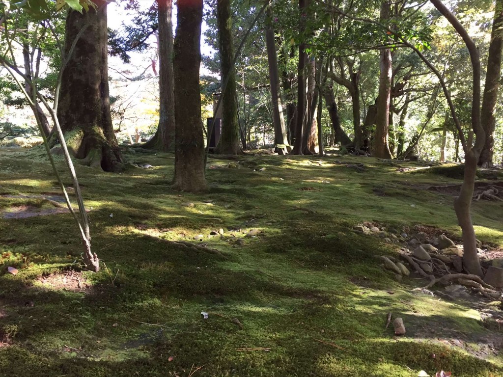 2015年11月　金沢・黒部渓谷へ行ってきましたIMG_2031 兼六園