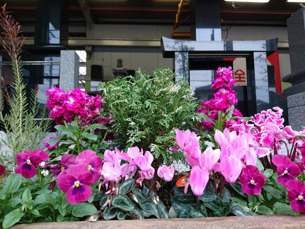 2015年11月 石材店の大塚の本社の花壇DSC_0014