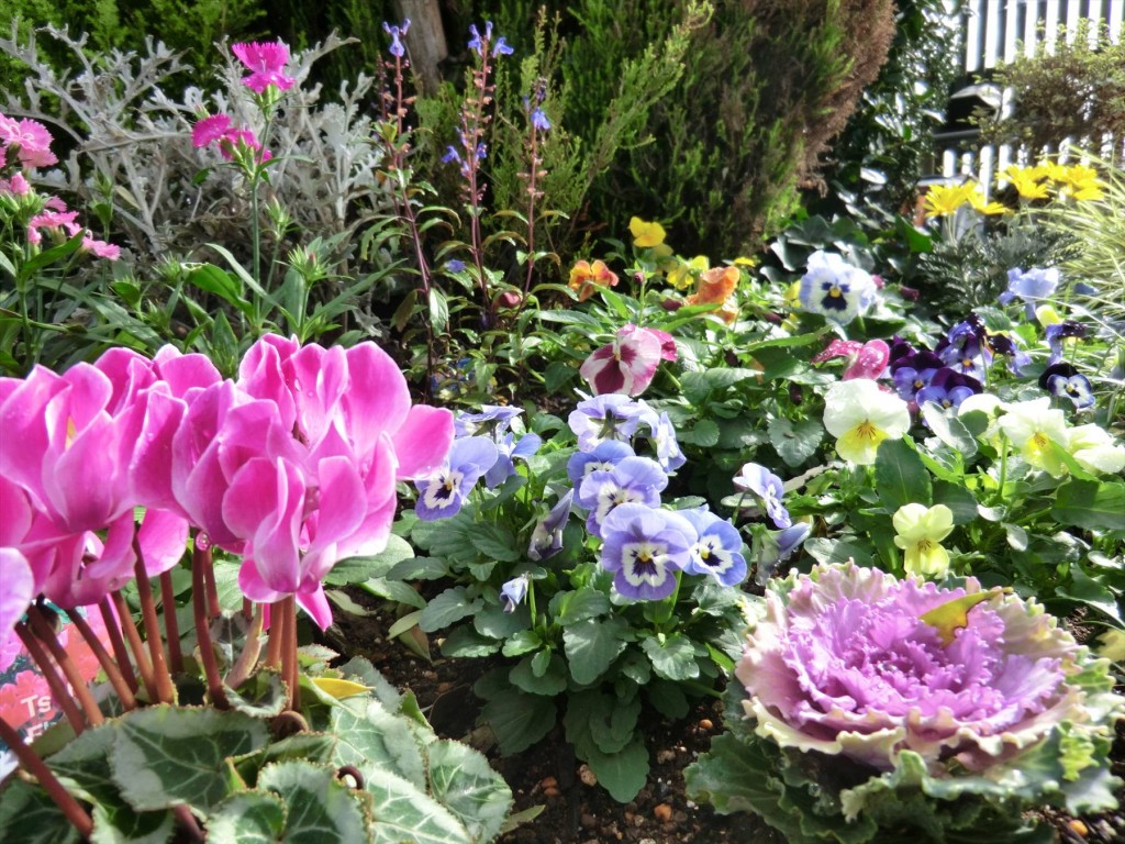 2015年11月24日 西上尾メモリアルガーデン　花壇の植替えを行いました010