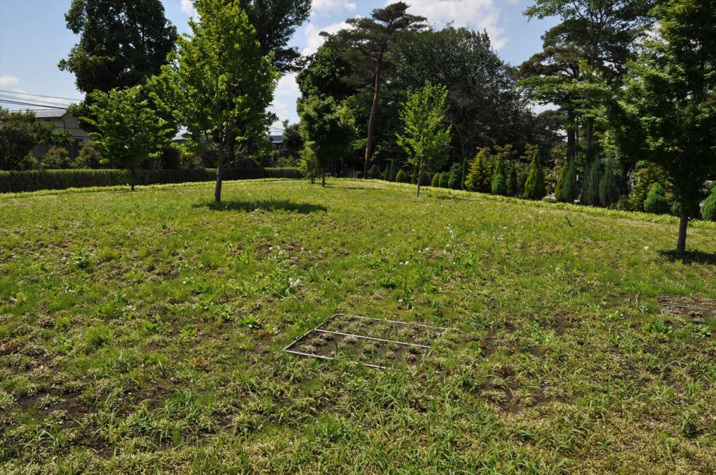 小平霊園の樹林墓地と樹木墓地DSC_0506