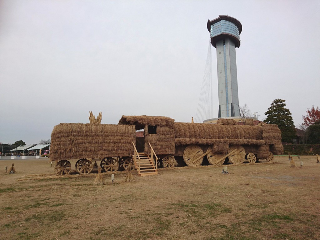 20151210 行田市 古代蓮の里 『2015田んぼアート』の稲を刈り取ったわらで作成 わらアート わら 恐竜 ステゴザウルスと機関車 貴婦人 C57DSC_0035