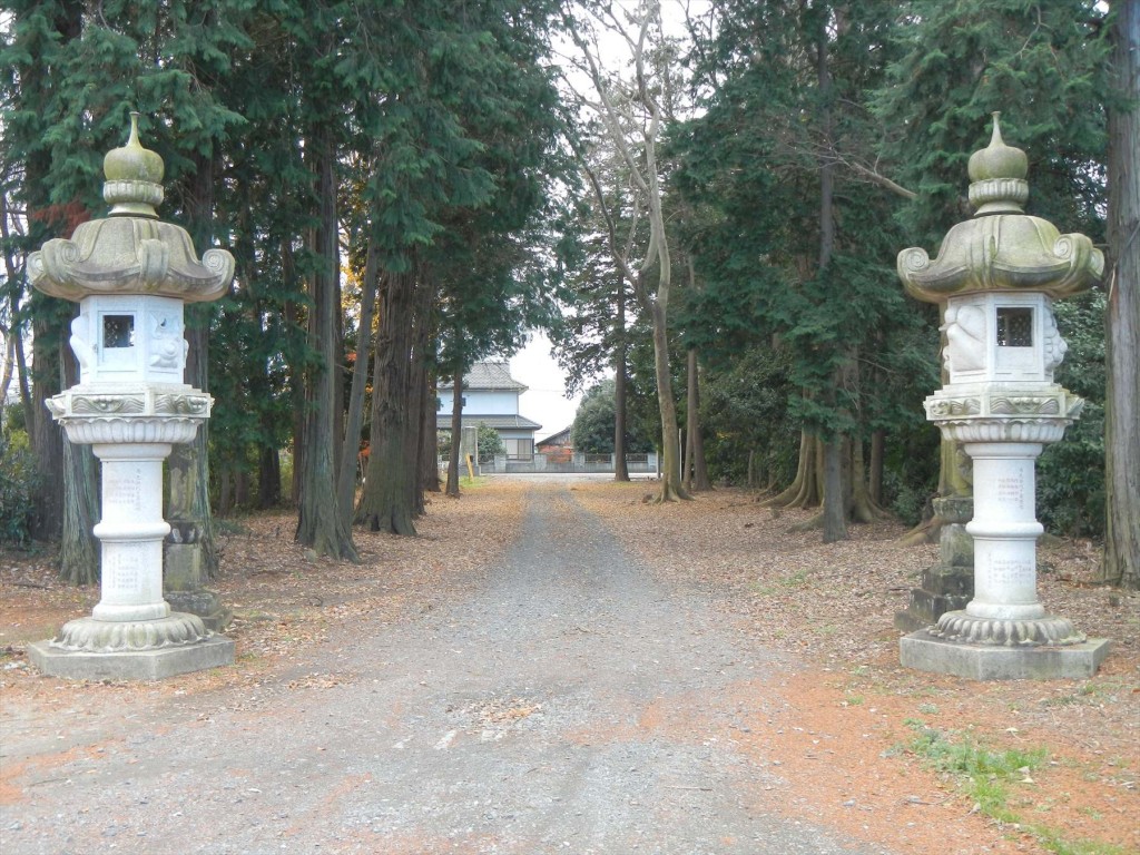 2015年12月20日 埼玉県蓮田市の寺院 妙楽寺の隣地のもみじが見事な紅葉DSCN7334