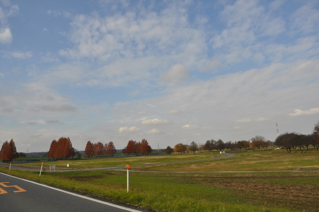 2015年12月 埼玉県 吉見総合運動公園の紅葉が綺麗でしたDSC_4627-