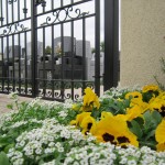 2015年12月 埼玉県 桶川霊園　花壇の花を植え替えました008