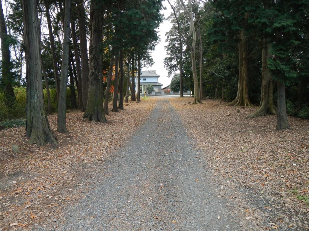 2015年12月20日 埼玉県蓮田市の寺院 妙楽寺の隣地のもみじが見事な紅葉DSCN7335