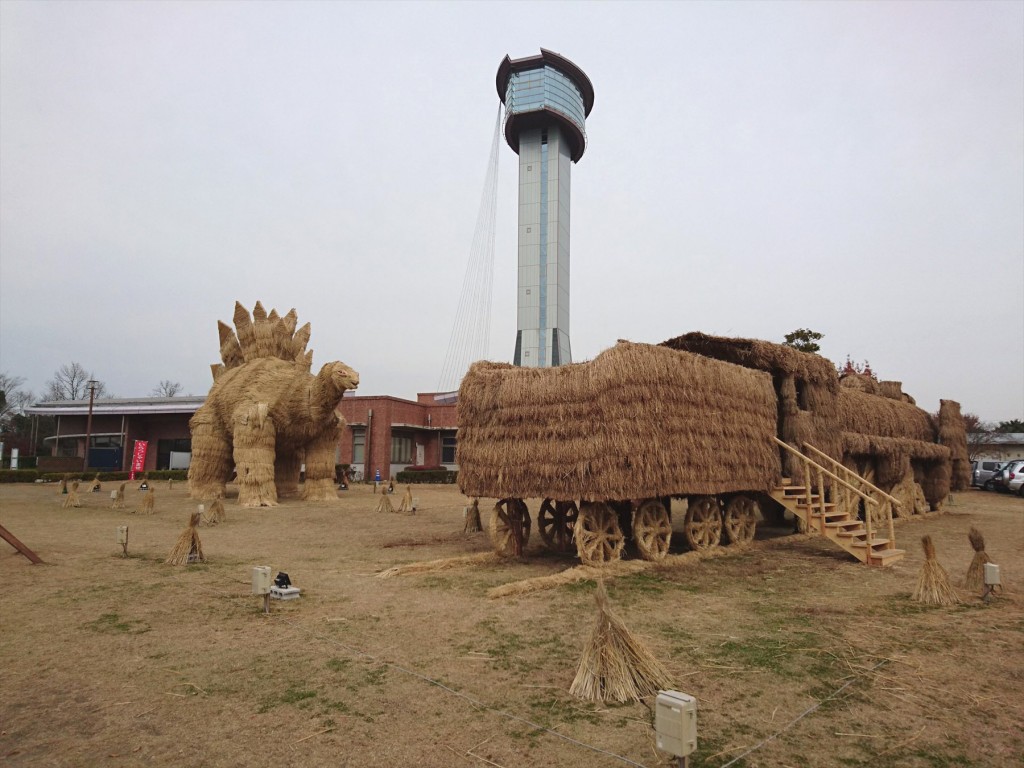 20151210 行田市 古代蓮の里 『2015田んぼアート』の稲を刈り取ったわらで作成 わらアート わら 恐竜 ステゴザウルスと機関車 貴婦人 C57DSC_0034