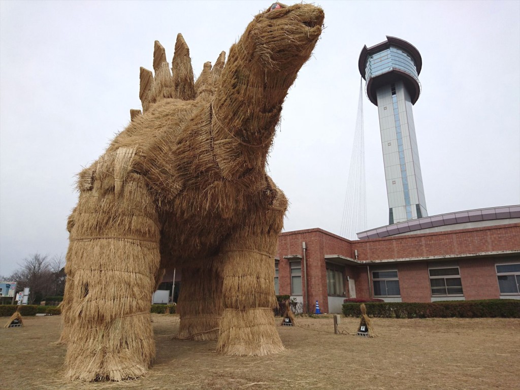 20151210 行田市 古代蓮の里 『2015田んぼアート』の稲を刈り取ったわらで作成 わらアート わら 恐竜 ステゴザウルスと機関車 貴婦人 C57DSC_0053