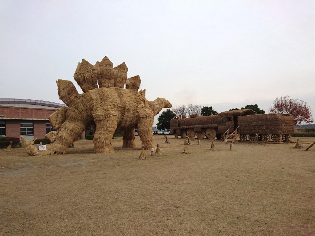 20151210 行田市 古代蓮の里 『2015田んぼアート』の稲を刈り取ったわらで作成 わらアート わら 恐竜 ステゴザウルスと機関車 貴婦人 C57DSC_0033