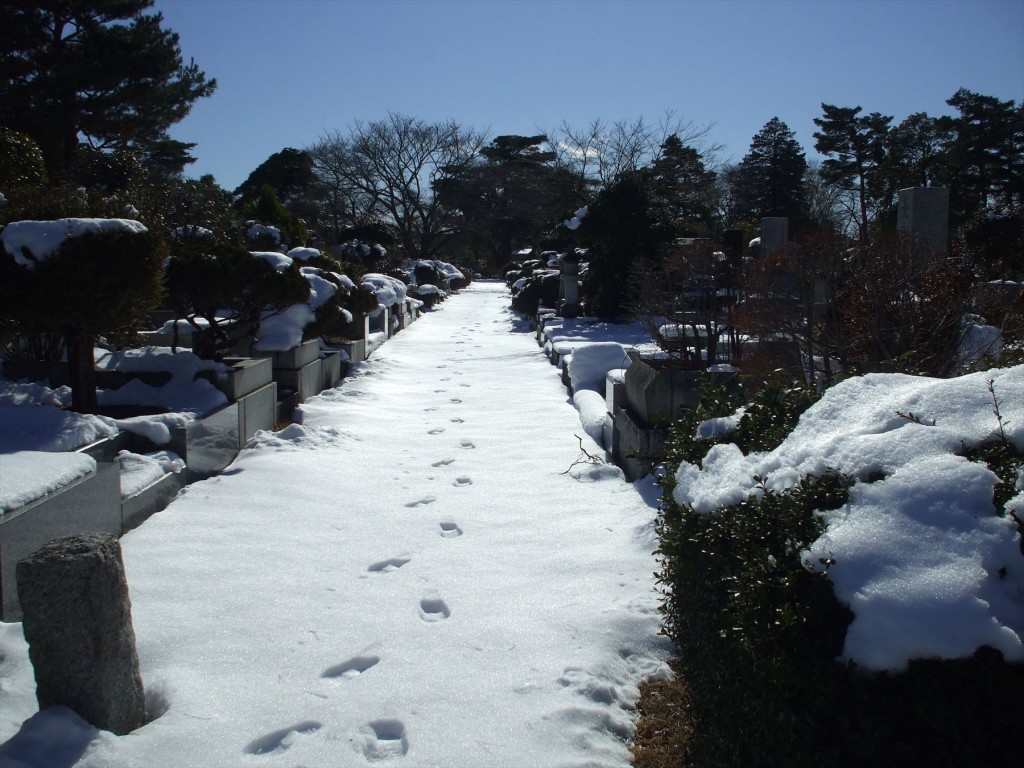2016年1月20日 都営小平霊園の雪DSCF6306-
