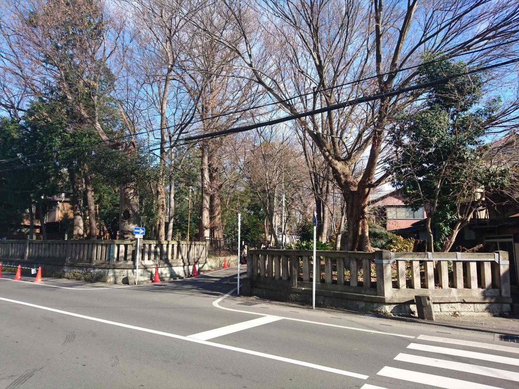 2016年1月正月 埼玉県さいたま市の調神社（調宮 つきのみや）初詣と石材の施工例  日蓮上人駒繋ぎの欅ケヤキDSC_0109