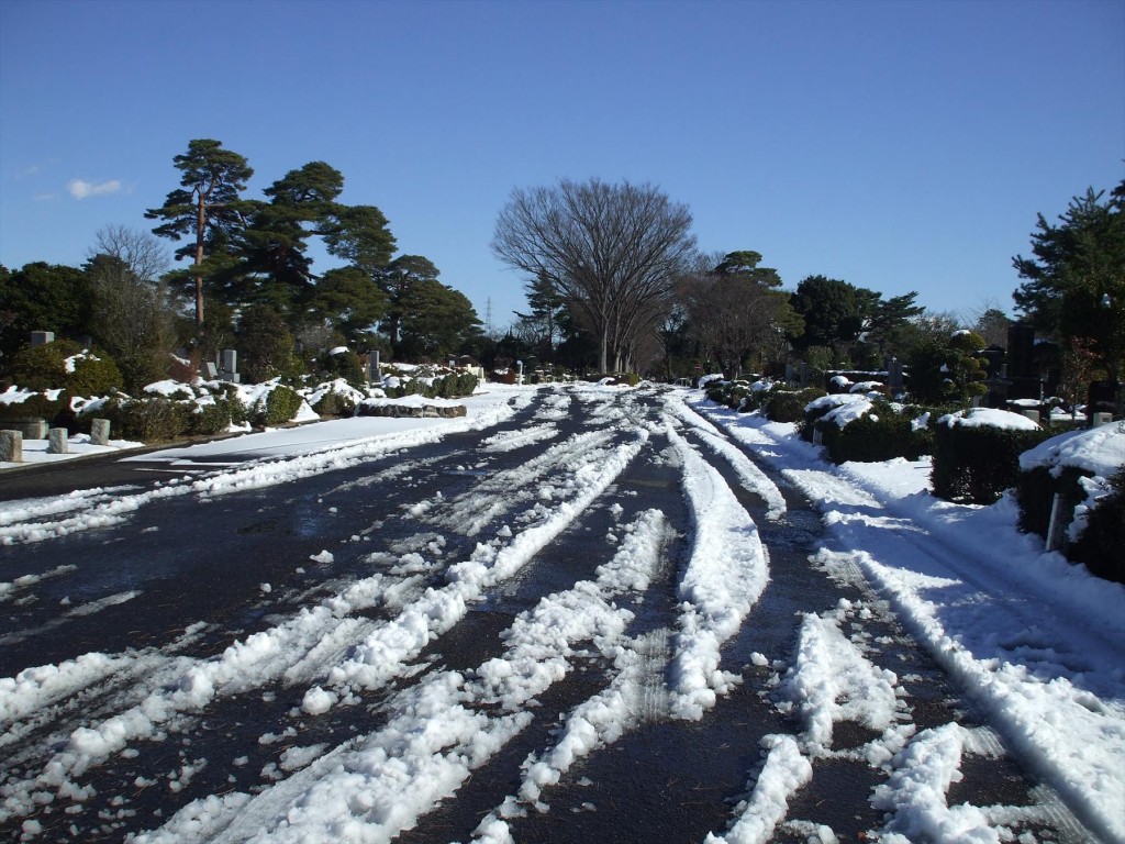 2016年1月20日 都営小平霊園の雪DSCF6305-