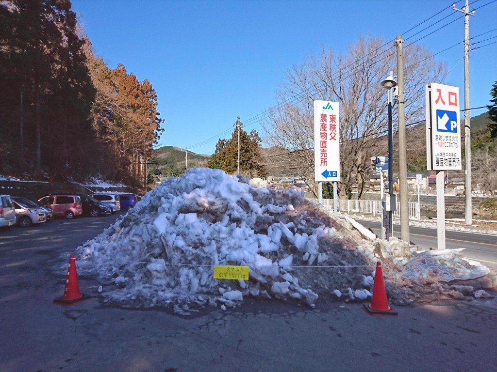 2016年1月26日 JA埼玉県東秩父村農産物販売所のイワナ 焼き魚 雪DSC_0150-