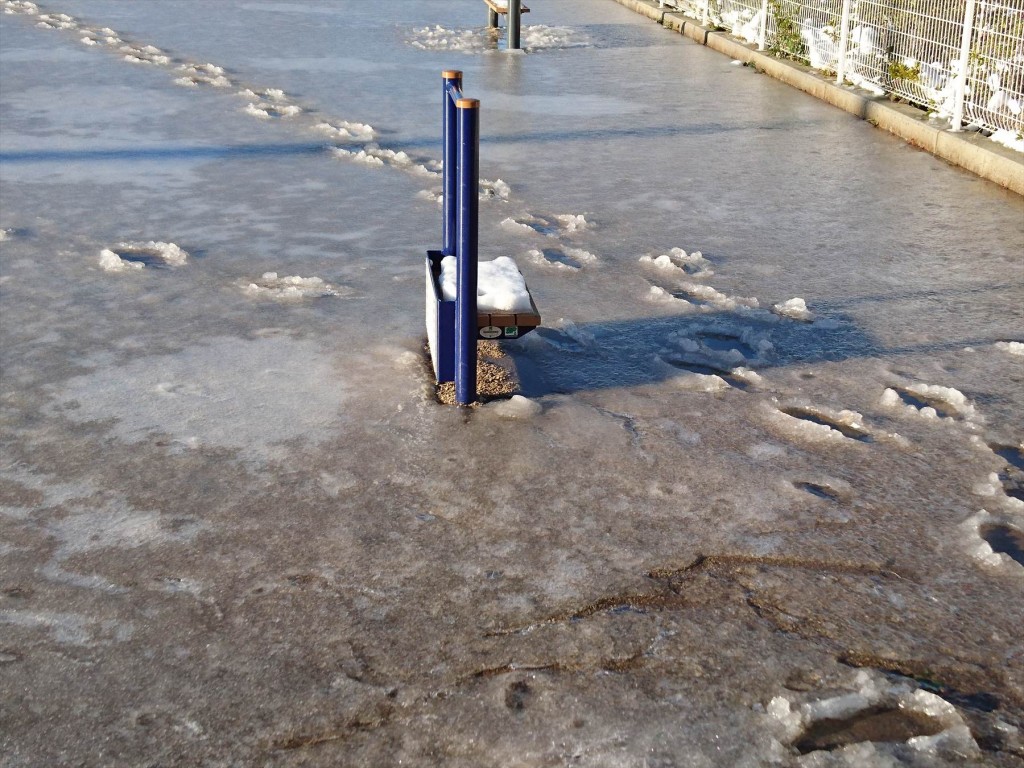 2016年1月19日 大雪の翌日、一面の氷 スケートリンクのように凍った公園の広場DSC_0122-