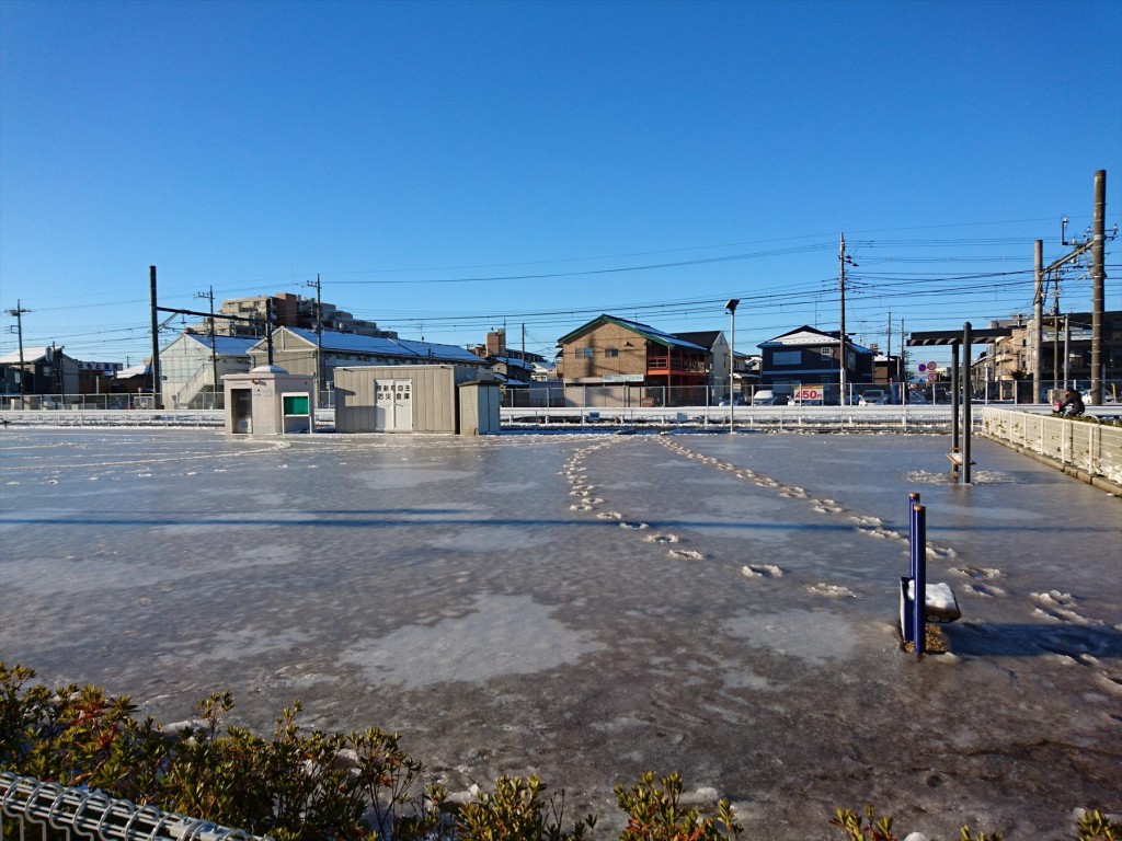 2016年1月19日 大雪の翌日、一面の氷 スケートリンクのように凍った公園の広場DSC_0121-