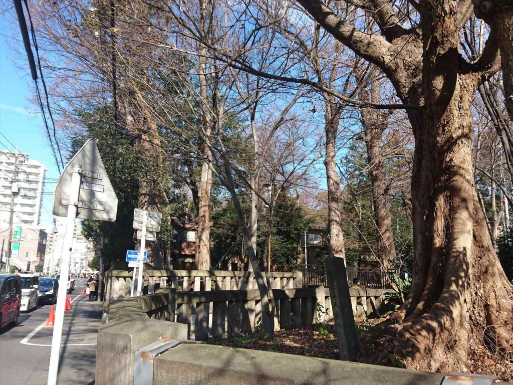 2016年1月正月 埼玉県さいたま市の調神社（調宮 つきのみや）初詣と石材の施工例  日蓮上人駒繋ぎの欅ケヤキDSC_0108