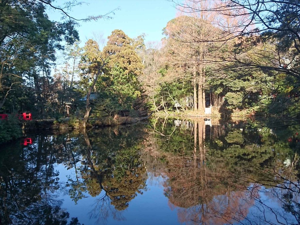 2016年1月正月 大宮氷川神社DSC_0051