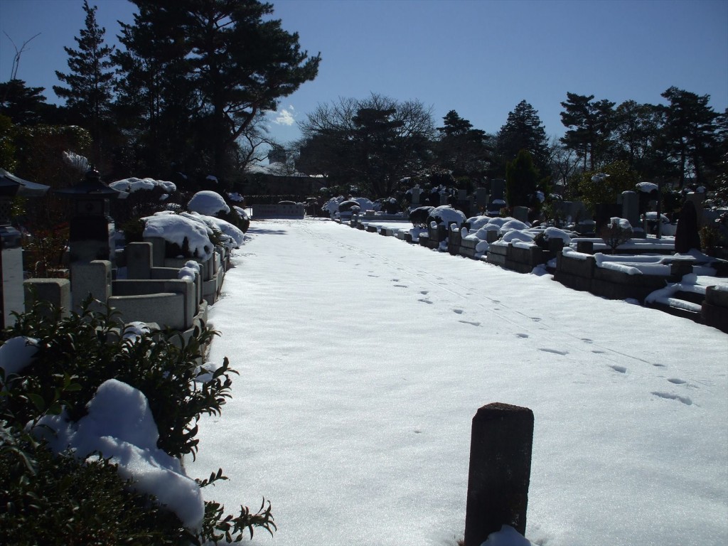 2016年1月20日 都営小平霊園の雪DSCF6307-