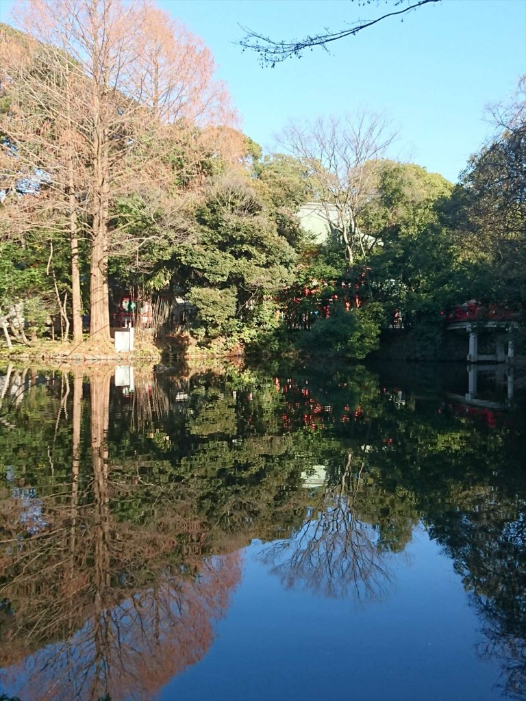 2016年1月正月 大宮氷川神社DSC_0055