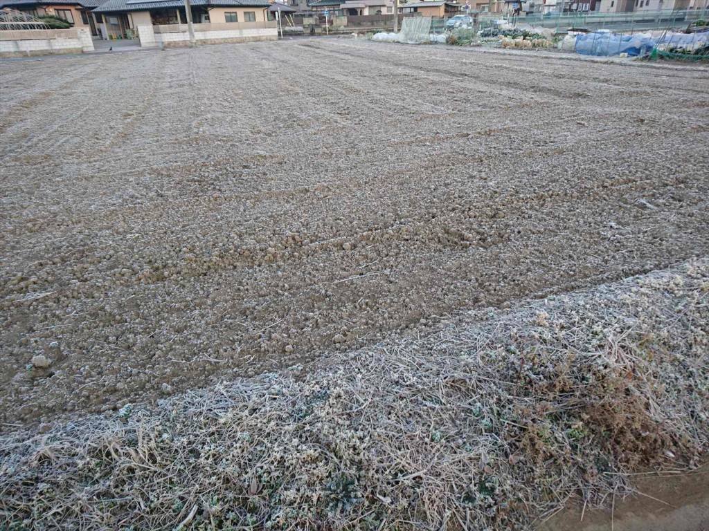 2016年1月13日 埼玉県 霜指数100％ 今朝DSC_0119-