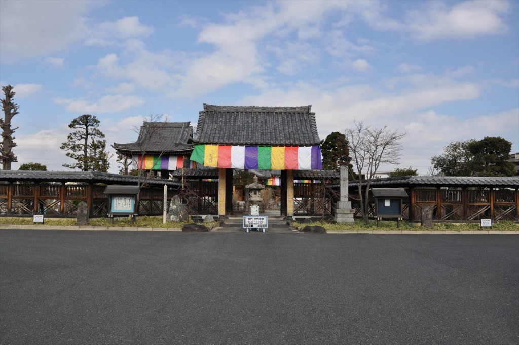 2016年2月8日 埼玉県上尾市の寺院 遍照院の蝋梅 ロウバイが綺麗でしたDSC_4970-
