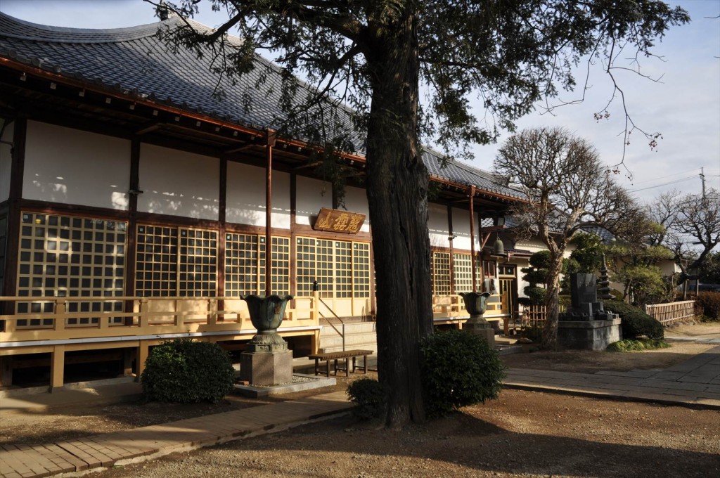 2016年2月 埼玉県上尾市の寺院、龍山院の梅が綺麗でしたDSC_5277 本堂 耐震施工工事完了
