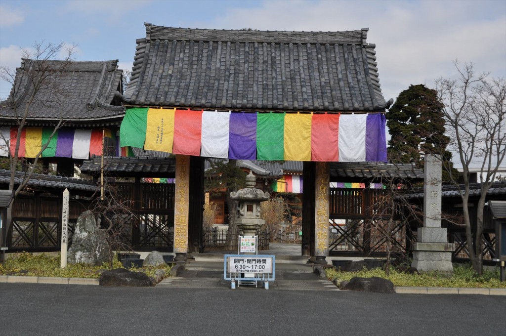 2016年2月8日 埼玉県上尾市の寺院 遍照院の蝋梅 ロウバイが綺麗でしたDSC_4971-