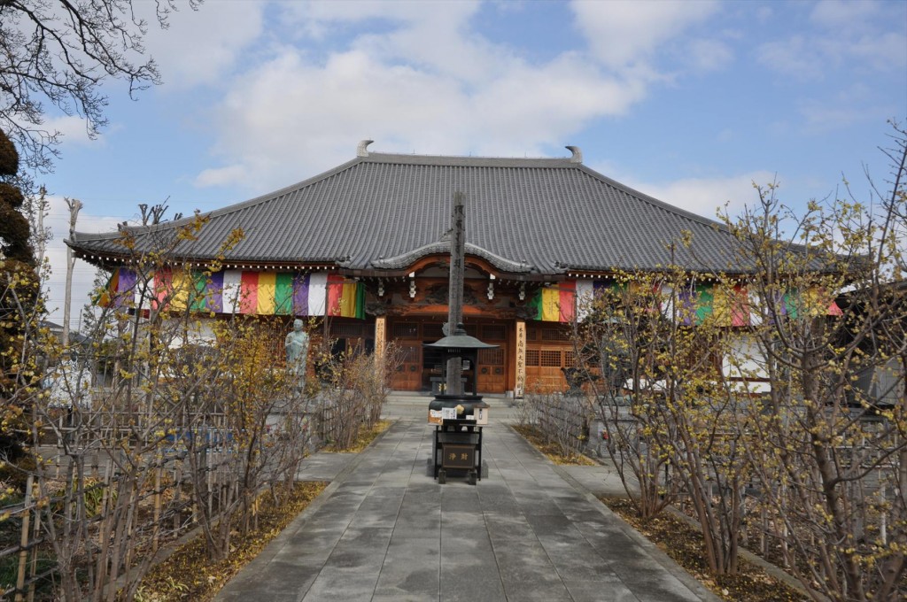 2016年2月8日 埼玉県上尾市の寺院 遍照院の蝋梅 ロウバイが綺麗でしたDSC_4964-