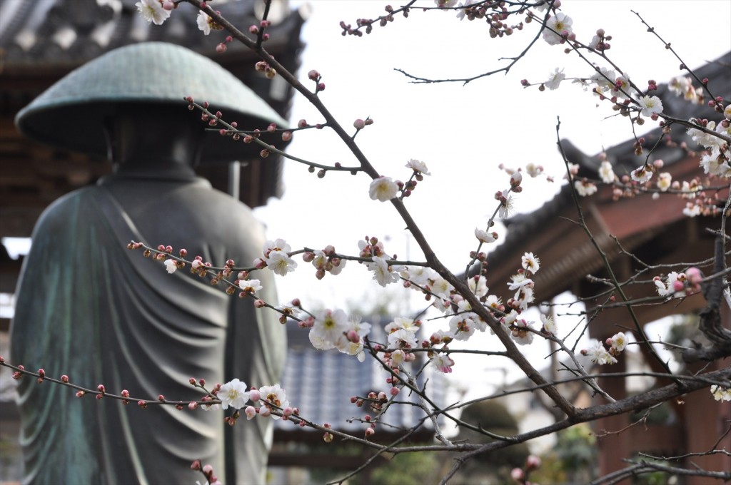 2016年2月 埼玉県上尾市の寺院、龍山院の梅が綺麗でしたDSC_5321 弘法大師さま