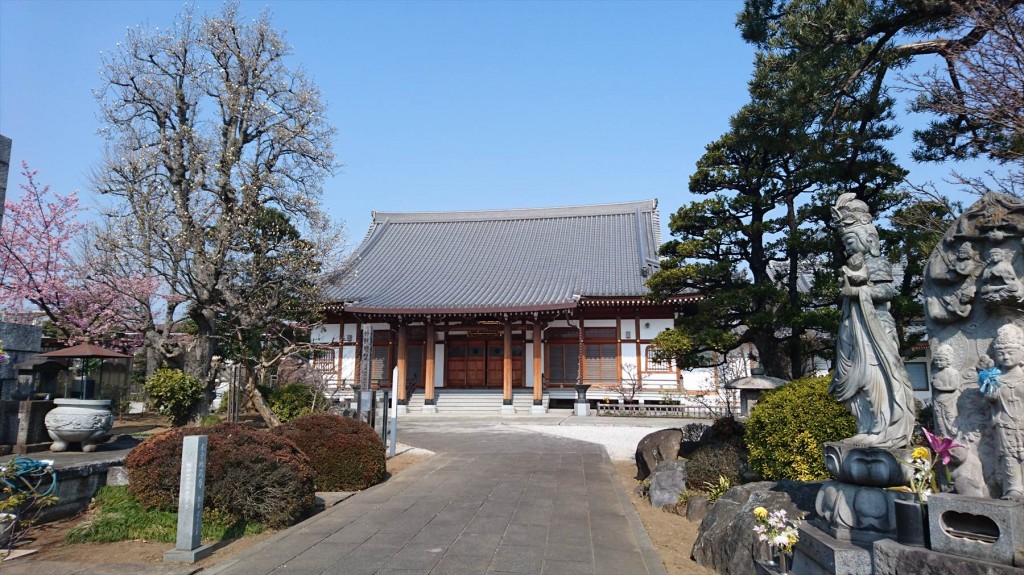 2016年3月 埼玉県上尾市瓦葺のお寺 楞厳寺の河津桜が綺麗でした。DSC_0282