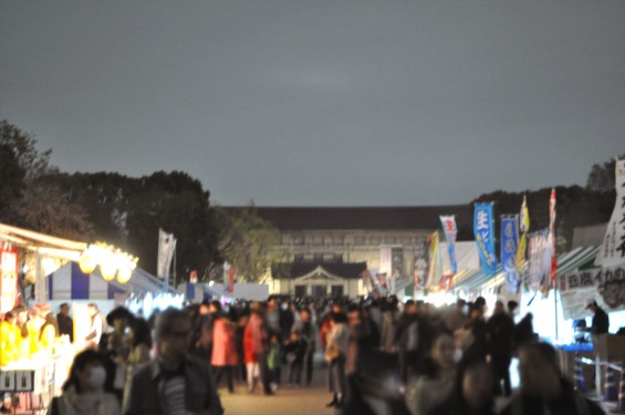 2016年4月2日 東京 上野恩賜公園 上野公園 夜桜 花見DSC_5857