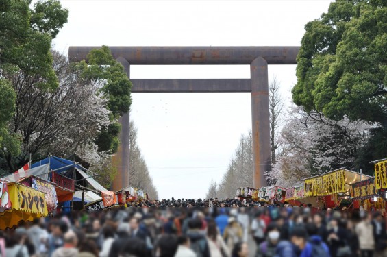DSC_57812016年4月2日 靖国神社の桜 yasukuni jinjya sakura